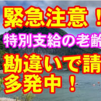 【特別支給の老齢厚生年金】シニアオーナーさん必見！勘違いで大損します！請求漏れ事例の紹介です！#特別支給の老齢厚生年金　#老齢厚生年金　＃年金請求漏れ　#年金受給　#年金請求