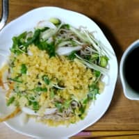 ７/８　ひるごはん　冷やしたぬきそば