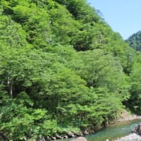 新潟県、松之山温泉