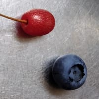 ブルーベリーについて