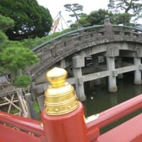 鎌倉散歩～鶴岡八幡宮・源平池・小町通り