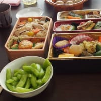 ミズキの紅葉　＆　姉妹と