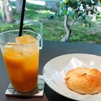 菊水酒造　「KIKUSUI蔵GADENカフェ」　新発田市