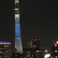 日向坂46の虹開催記念特別ライティング14