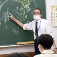 桑、蚕、繭、蛾。