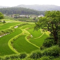 岡山県・久米南町の「上籾」