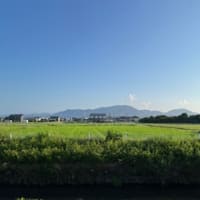 昨日と今日のウォーキング