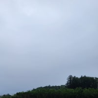 朝空