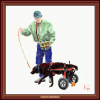 Walking　with  his dog in a walker 6427／歩行器をつけた犬と散歩