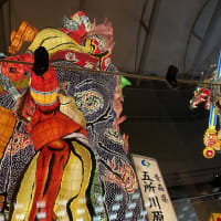 青森県　立ちねぷた　千畳敷　白神山地 　ブナ原生林
