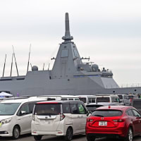 後期高齢者1と2と3と「花と護衛艦」