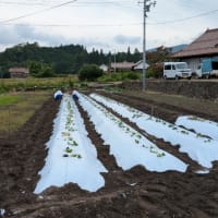 残念な事に 
