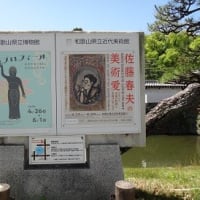和歌山城と絵手紙展