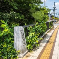 6月29日(日) 12日例会「一橋学園駅--三鷹駅」の下見-3-3境浄水場-どんぐり橋
