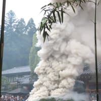 観光会まち巡り第２回（通２６）「奥の谷の自然探勝と滝谷不動の春季大祭」