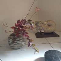鑁阿寺のタコさん
