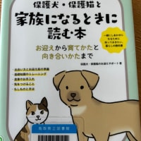 今朝の一冊