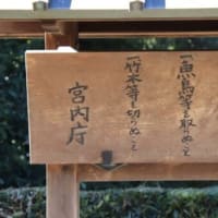 畝傍山