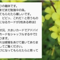 遊び感覚でお試しどうぞ･･･6