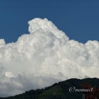 雲