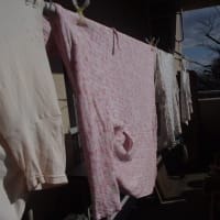 日曜日の朝、最初にさっちゃんの服の洗濯をしました
