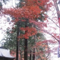世界遺産 平泉中尊寺の見返り美人と見返り爺
