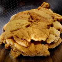 北に向かって・ちょこっとお出かけ（６日目）手作りのウニ丼！