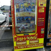 水戸で見かけた今様のスタイル(7)