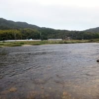 本家　記事　更新のお知らせ