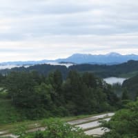 今年も行って来ました（２０１９年　松之山探鳥）