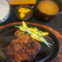 三河とんてき JIRO＠豊橋