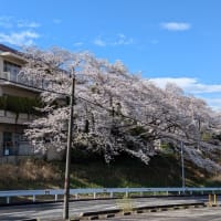 令和の米騒動？