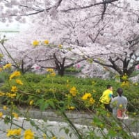 荒子川