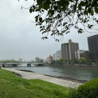 広島市は雨・・・シトシト雨が降り続いています　明日も雨の予報です
