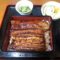 7月20日～