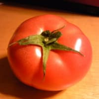 お宝トマト