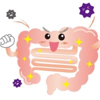 腸(へそ）ヒーリング体験会のお知らせ