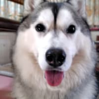 遊んで美味しいもの食べて満足のお休みの日