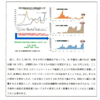 金融庁報告書PDF　2000万円？