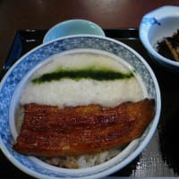川崎 大沼 鰻 うなぎ 日々是不摂生 男のランチ 食べ歩きの途中下車