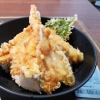 紀伊（１４）黒潮市場：黒潮プレミアム天丼・マグロ握り