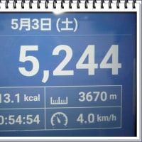 藤岡「ふじの咲く丘」へ行ってきました　