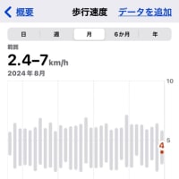 🚶2024年8月　歩きまとめ　👣