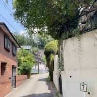 川崎市岡上付近の急坂を巡る③