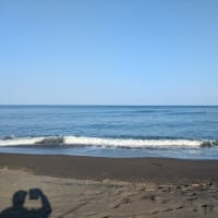 諦めきれずにサクラマス狙い