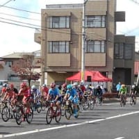 vol.5839  白河に散る