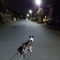 鳥友さん達と高倉町珈琲店へ