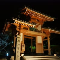 興禅寺ライトアップ（鳥取市）