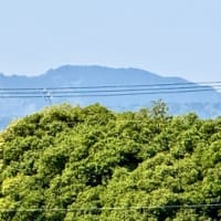 🚶‍➡️…隠元橋…高架橋…👫茶づな🍵　5/3/‘25
