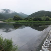本日の海部川